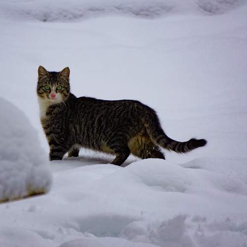 Photo #8787845