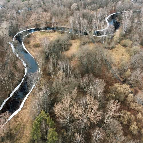 Photo #8787912