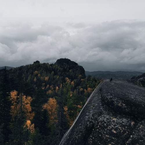 Photo #8788334