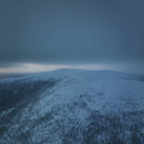 Photo #8788511