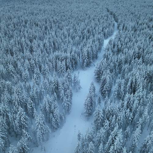 Photo #8788518