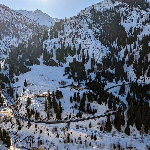 Photo #8788545