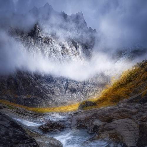 Photo #8788755