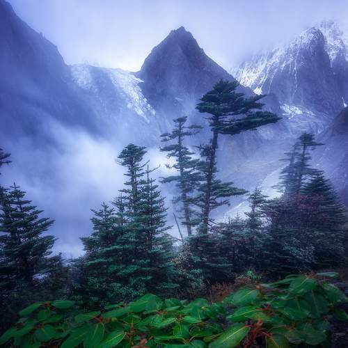 Photo #8788759