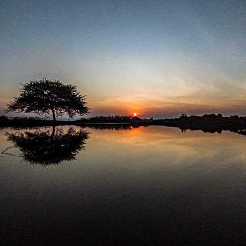 Photo #8790062