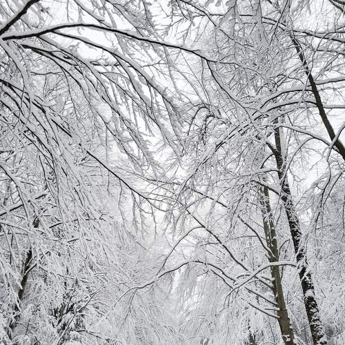 Photo #8790072