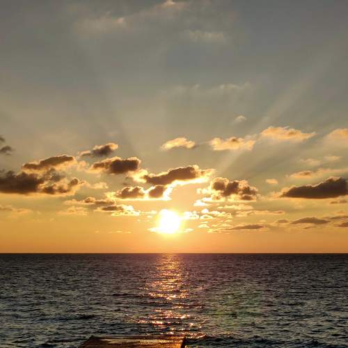 Photo #8790110