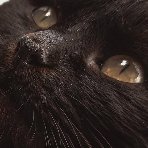 Photo #8790552
