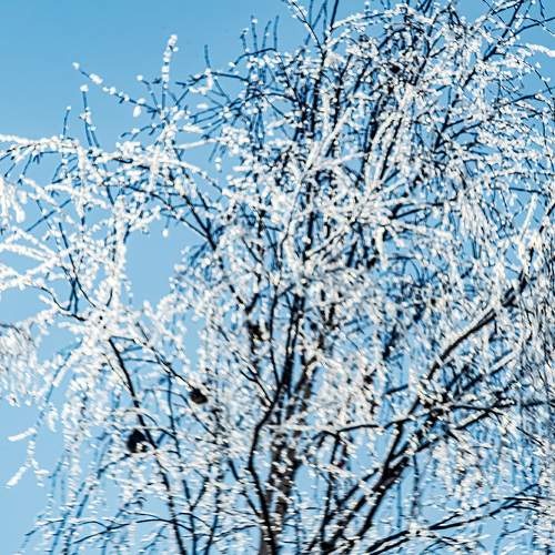 Photo #8790574
