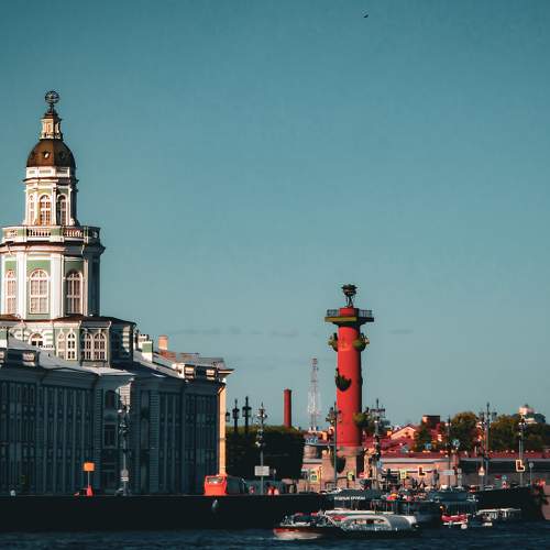 Photo #8790615