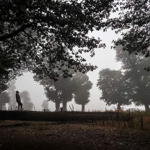 Photo #8790810