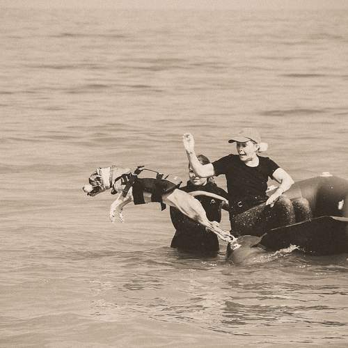 Photo #8790812