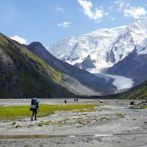 Photo #8790822
