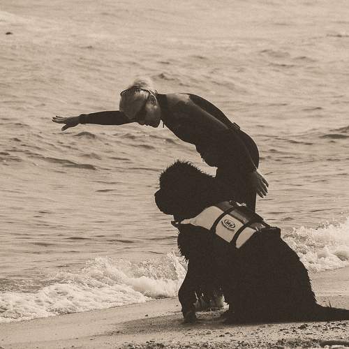 Photo #8790862