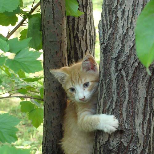 Photo #8791300
