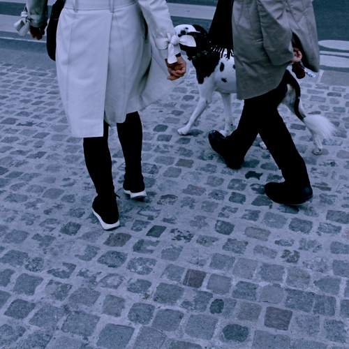 Photo #8791773