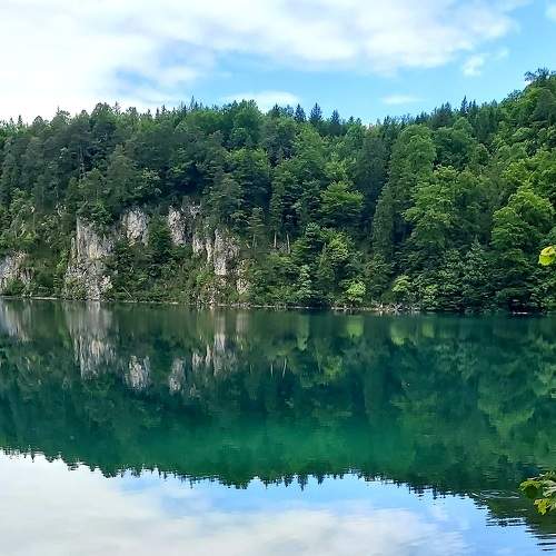 Photo #8792079