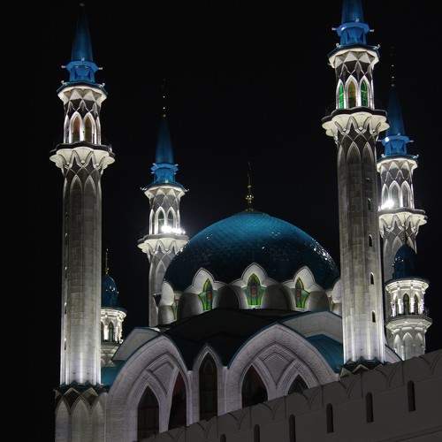 Photo #8792444