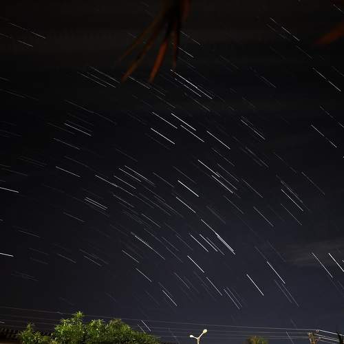 Photo #8792542