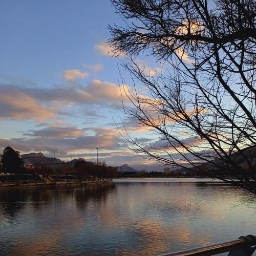 Photo #8792777