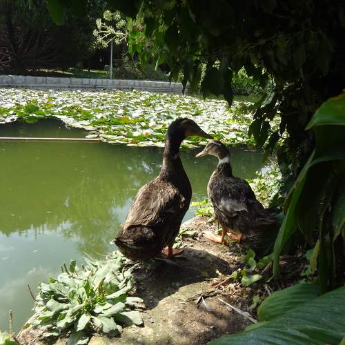 Photo #8792804