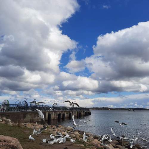 Photo #8792893