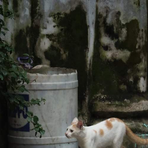 Photo #8792966