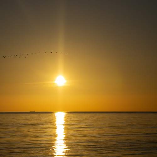 Dawn