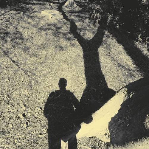 Photo #8793421