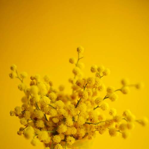 Photo #8793675