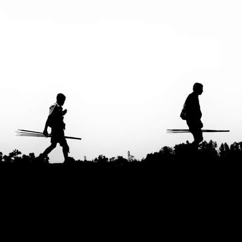 Photo #8793877