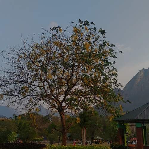 Photo #8794244