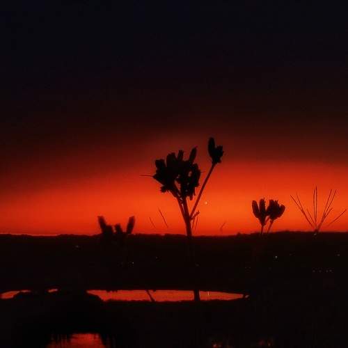Sunset rage.