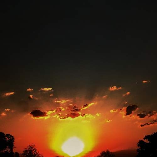 Photo #8794349