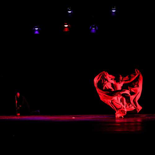 Photo #8794509