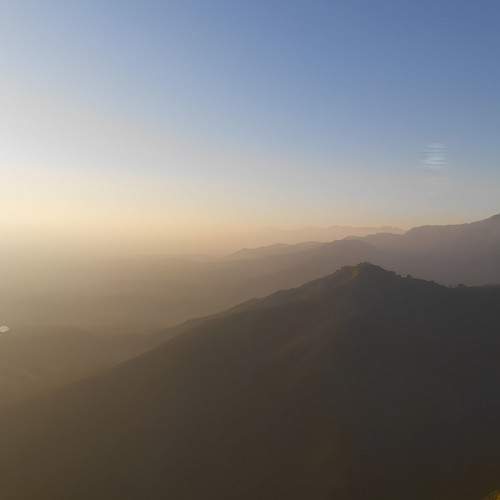 Photo #8794713