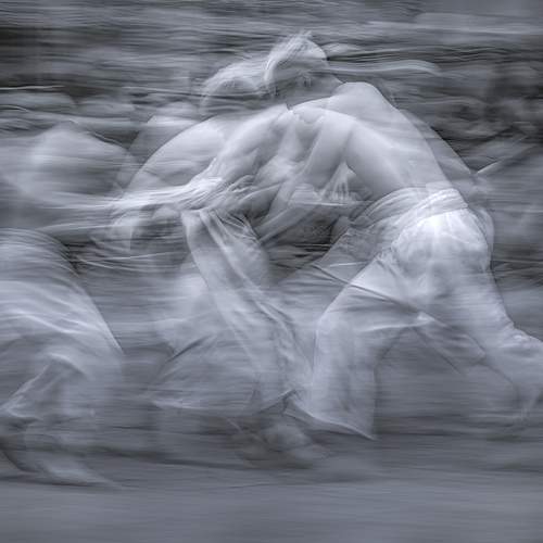 Photo #8794958