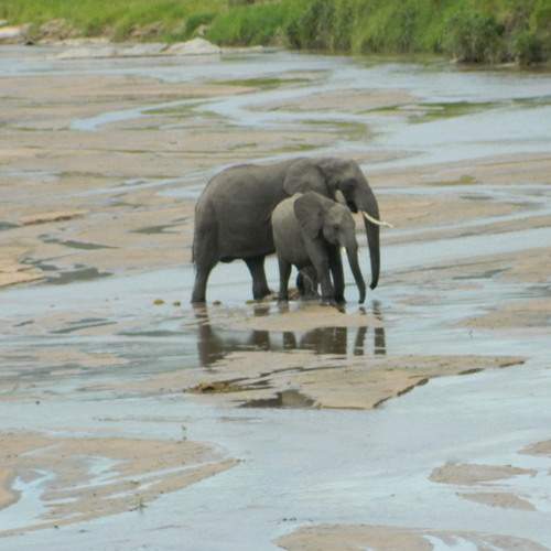 Photo #8795218