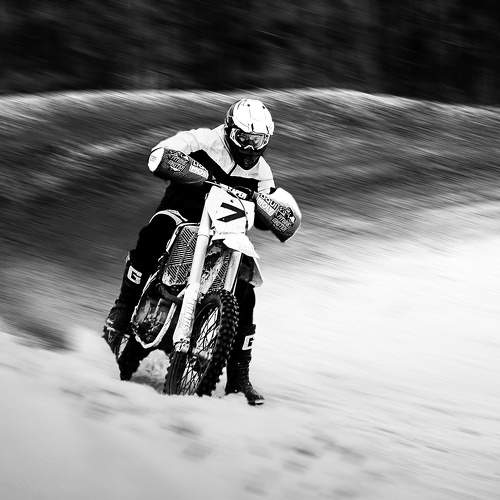 Photo #8795317
