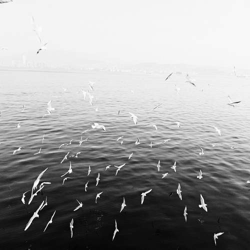 Photo #8795379