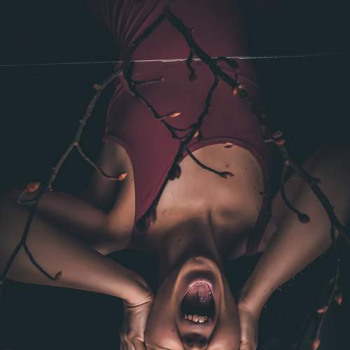 Photo #8795706