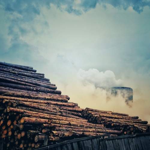 Photo #8795817