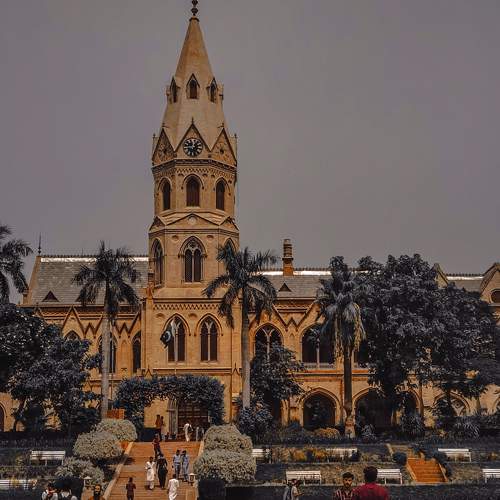 Photo #8795943