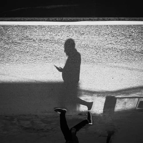 Photo #8796187
