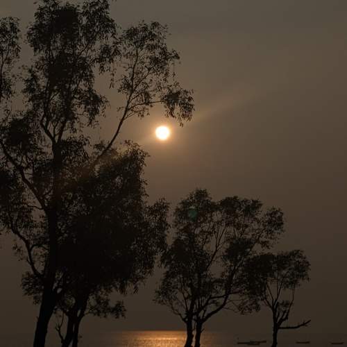 Sun and the sea.