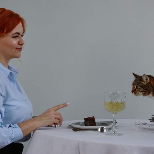 Photo #8796215