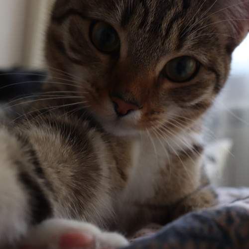 Photo #8796224