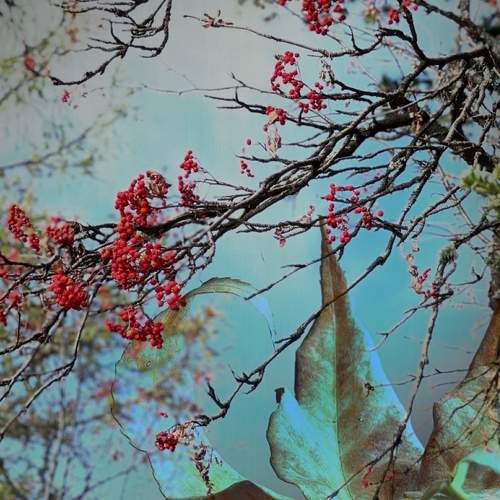 Photo #8797093