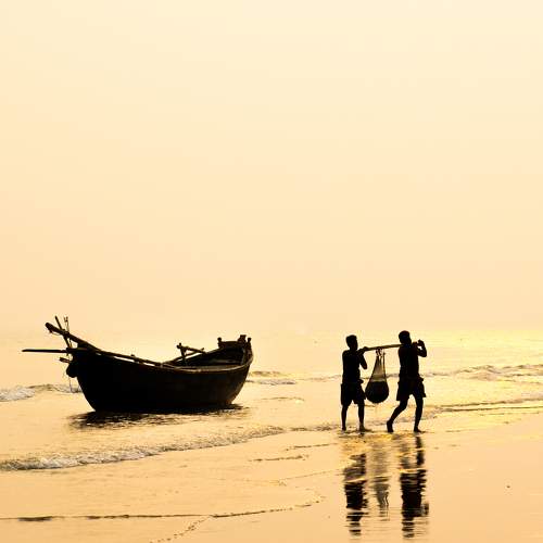 Photo #8797099