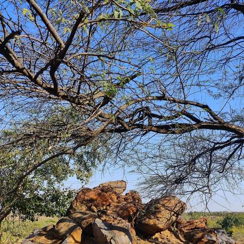 Photo #8797280